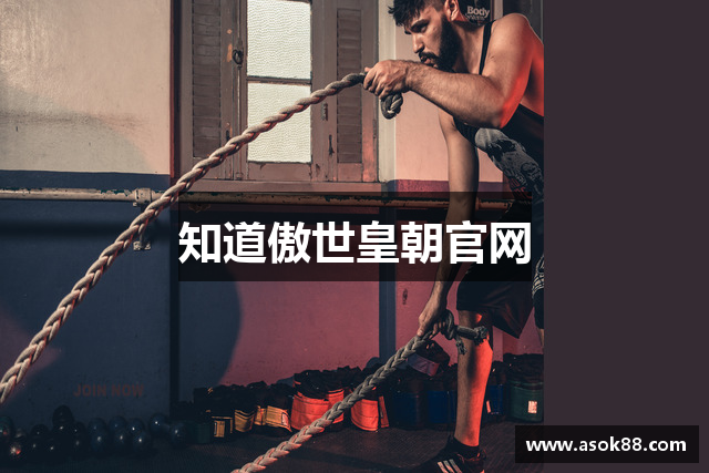 知道傲世皇朝官网
